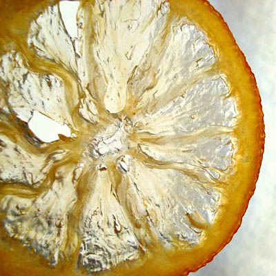 Candied lemon slices can be used to garnish cakes or cocktails, or you can eat them for a snack. They're impressive and embarrassingly easy to make!