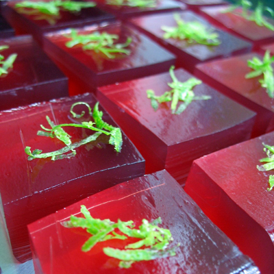 How to make Edible Cocktails: Sangria.