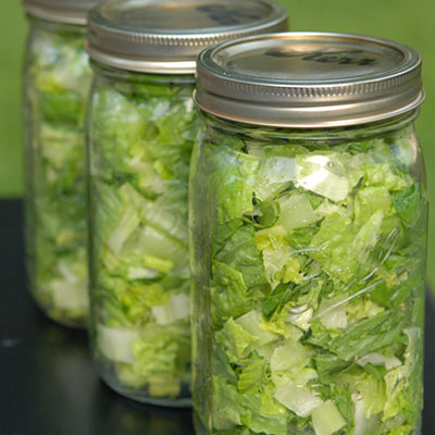 THIS WORKS! My lettuce stays fresh for ever... and when I see it in my fridge... it makes me want to eat it... cant beat that! What a GREAT idea.
