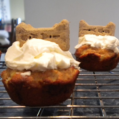 I never thought I would be one of those crazy dog owners that talk to their dog, take the dog everywhere, and make the dog a birthday cake.