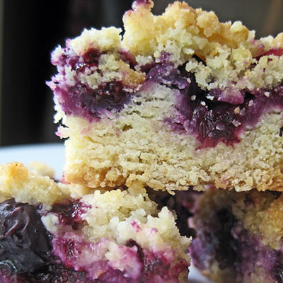 Blueberry Crumb Bars