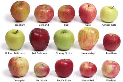 Click on picture to use the chart as a quick reference when deciding which apple is best for your particular needs.