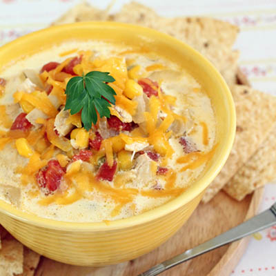 Slow Cooker Chicken Enchilada Soup