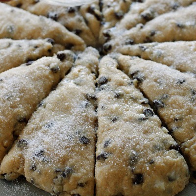 These buttermilk scones are like eating a giant chocolate chip cookie for breakfast... WITHOUT the guilt!